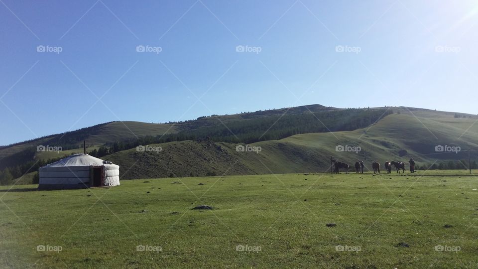 Landscape, No Person, Grass, Travel, Outdoors