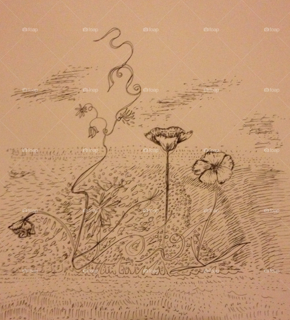 flowers field hand drawn pen ink by MikeDGriffin