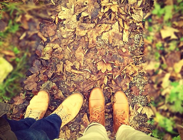 fall  walk