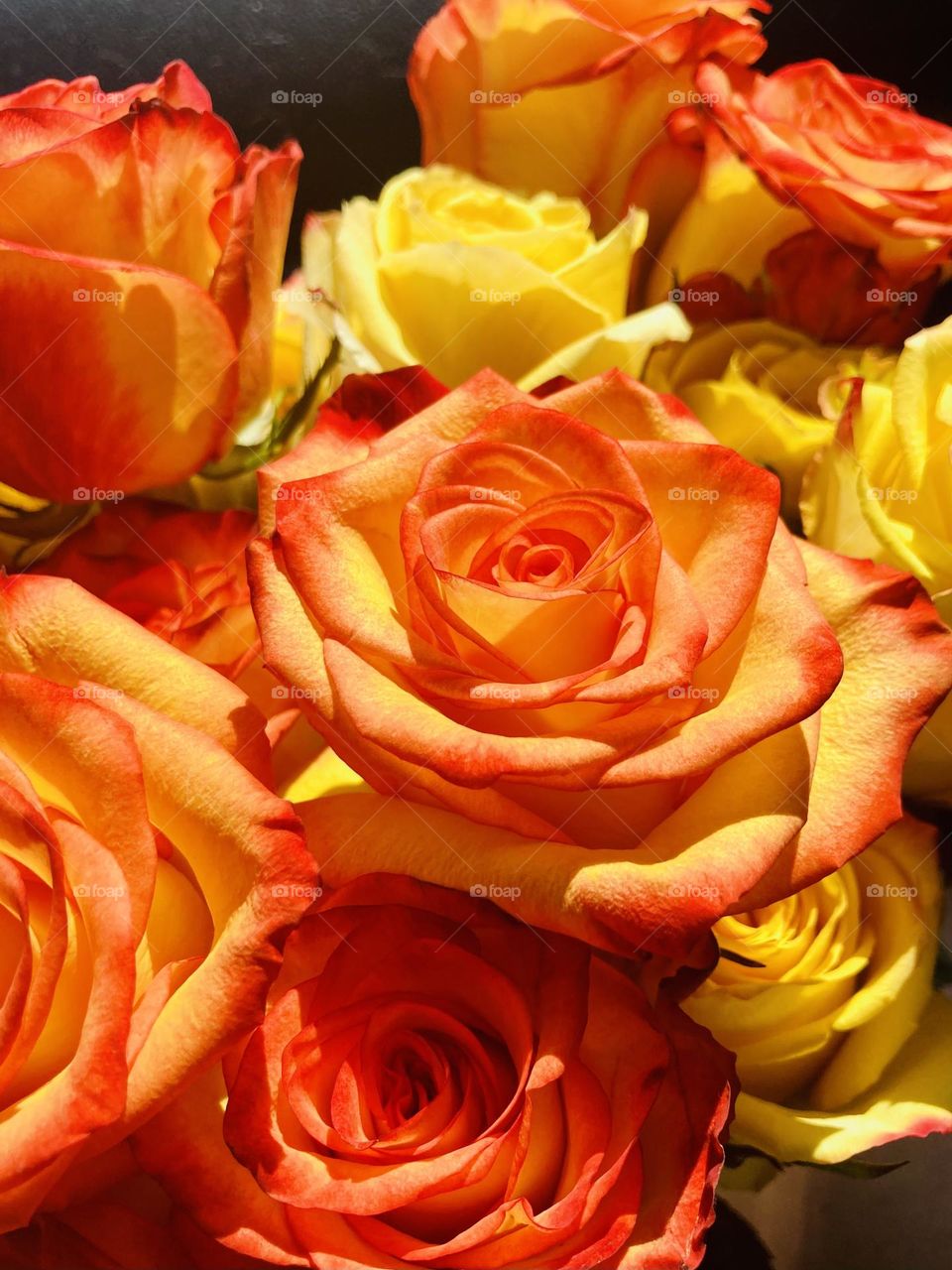 Barbie style photography 