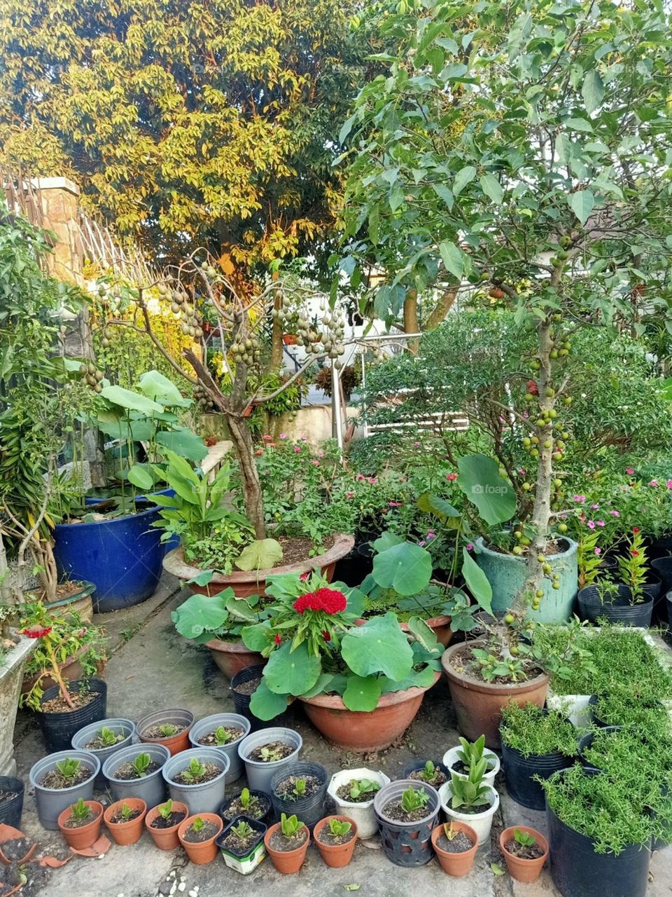 Màu đỏ nổi bật.