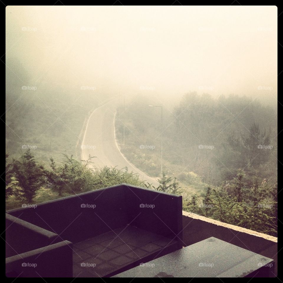 Foggy road