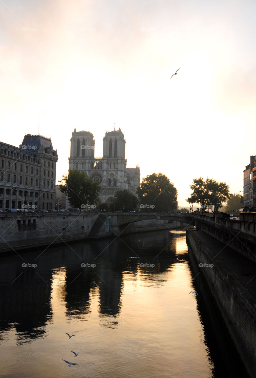 Cathedral in the morning 