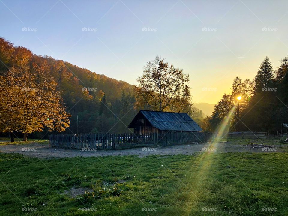 Golden hour light