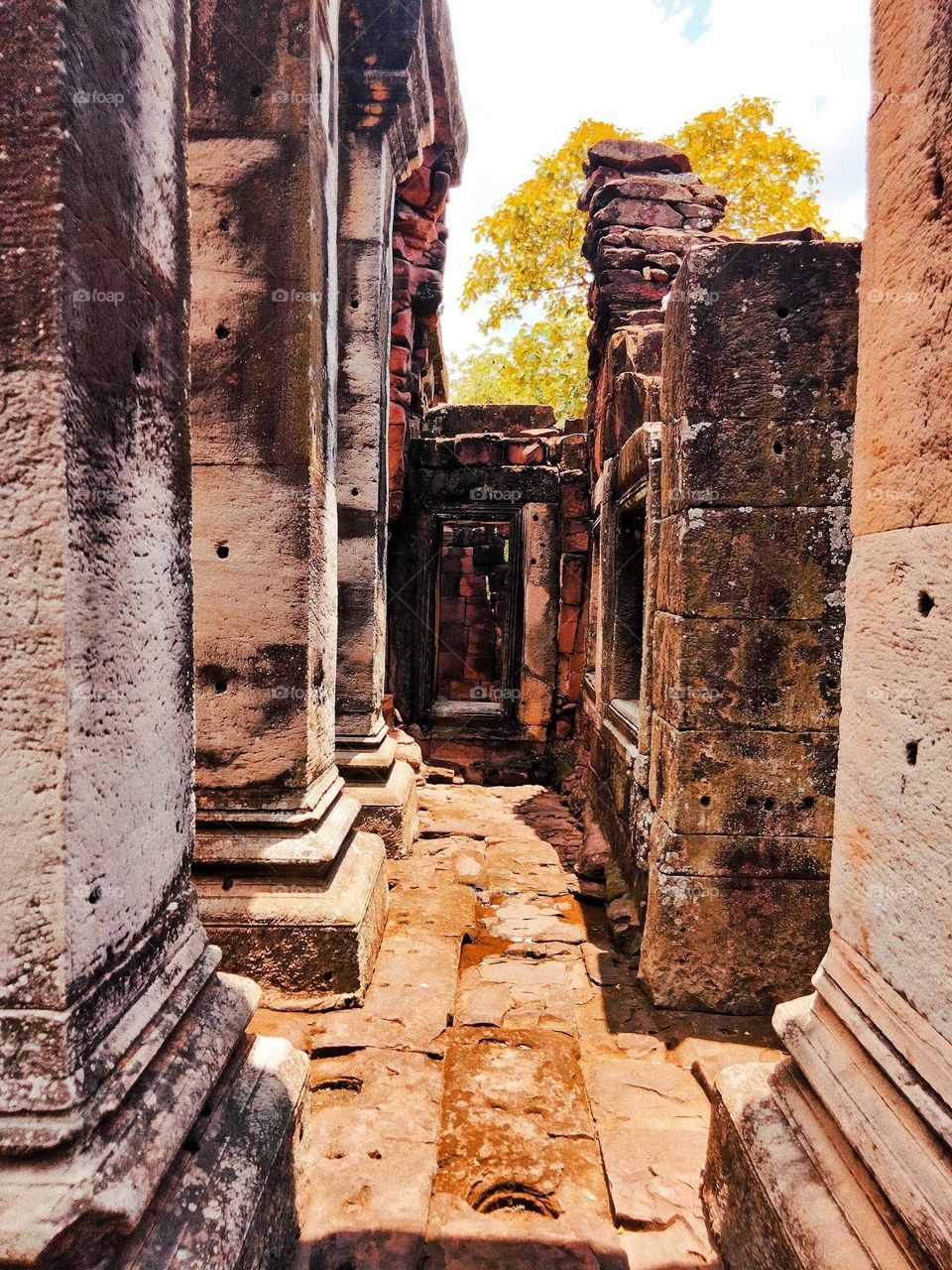 Do you want to go explore?