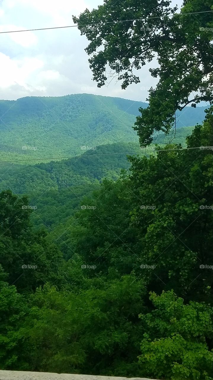 Black Mountain North Carolina