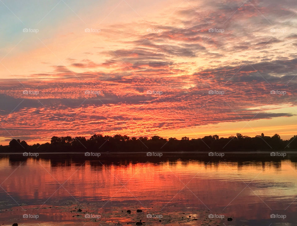 magic dawn on the river in summer