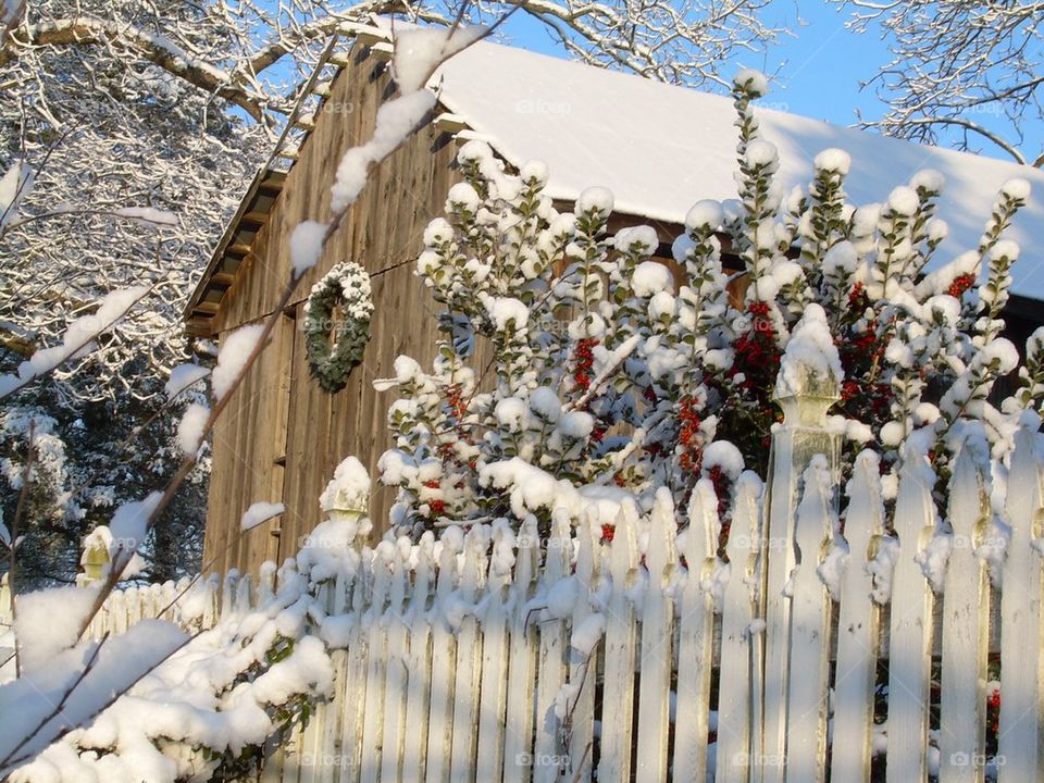 Old barn in the snow