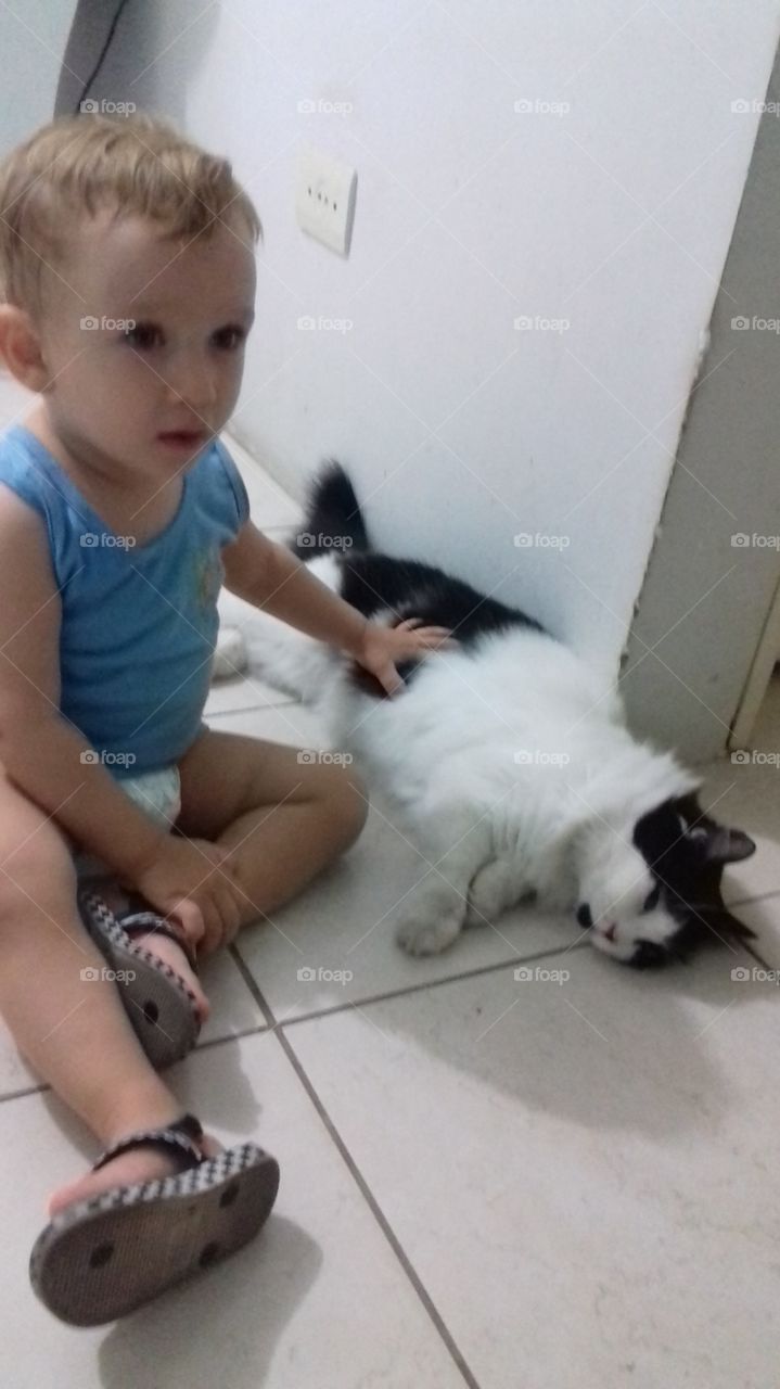 bebê e o gatinho