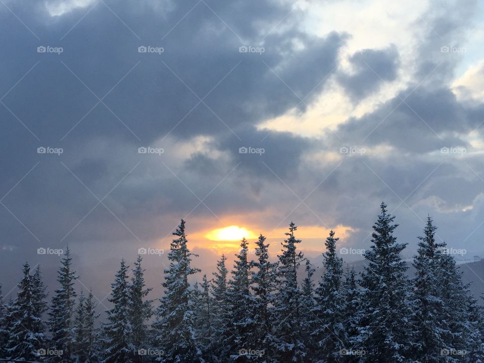 Snow, Winter, Wood, No Person, Landscape