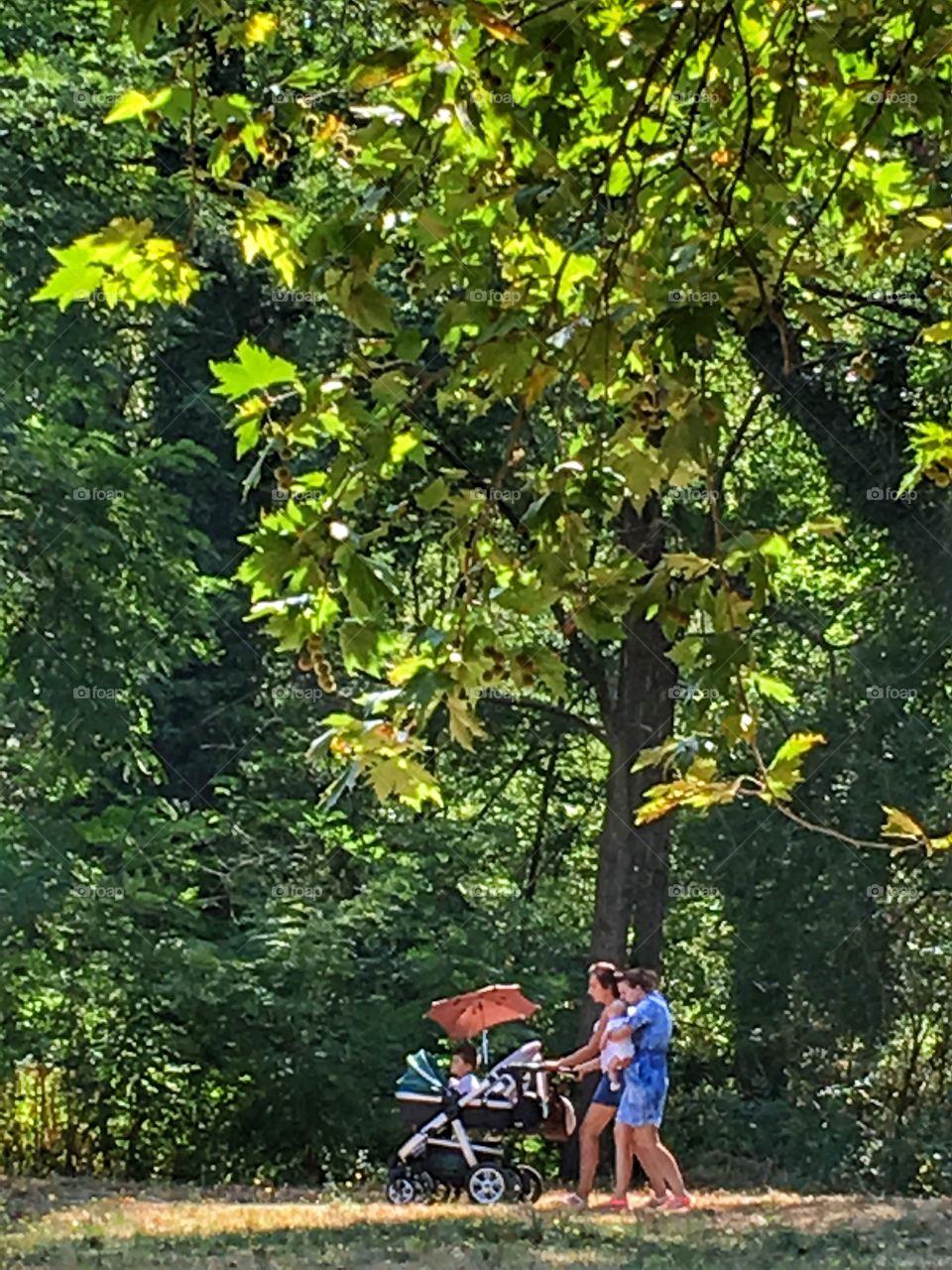 Mothers and children walking in the forest park