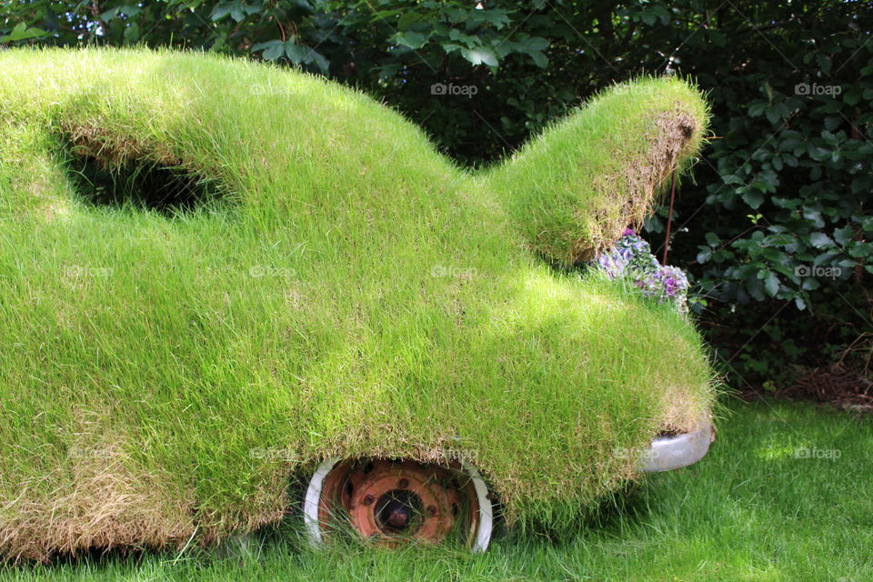 Grass car with open grass trunk.