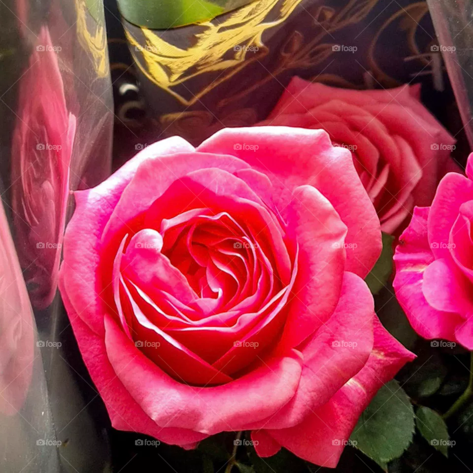 Flower arrangement with roses, wrapped in cellophane, reflecting the image of the rose.