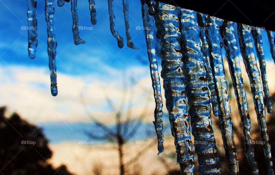 Dripping icicles 