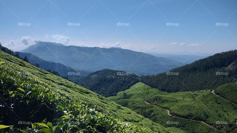 “Choose only one master—nature.” –