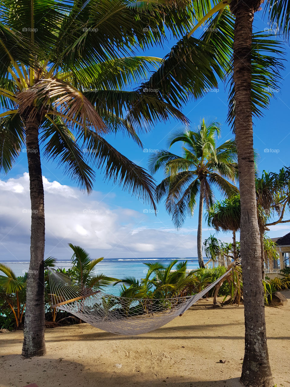 hammock on the beach