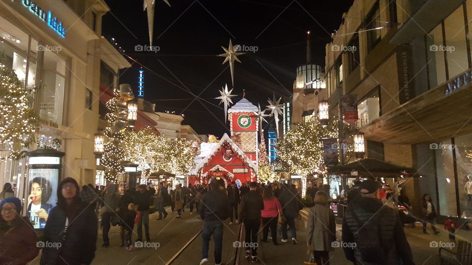 Holiday time at the grove