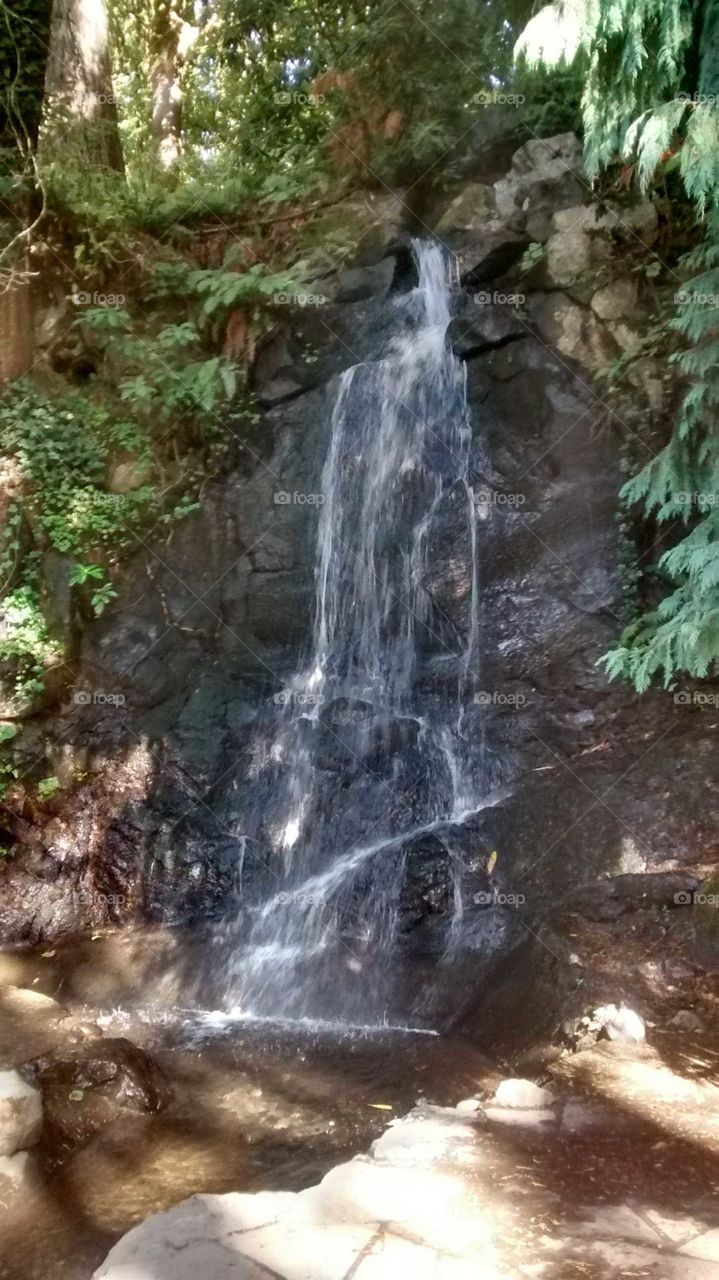 Tumwater Falls (waterfall II), Washington State
