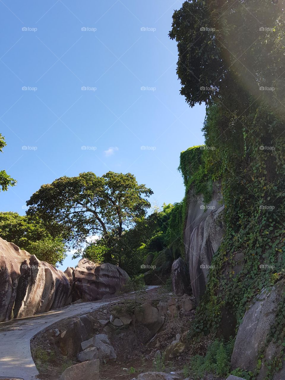 The road between rocks, in Seychelles