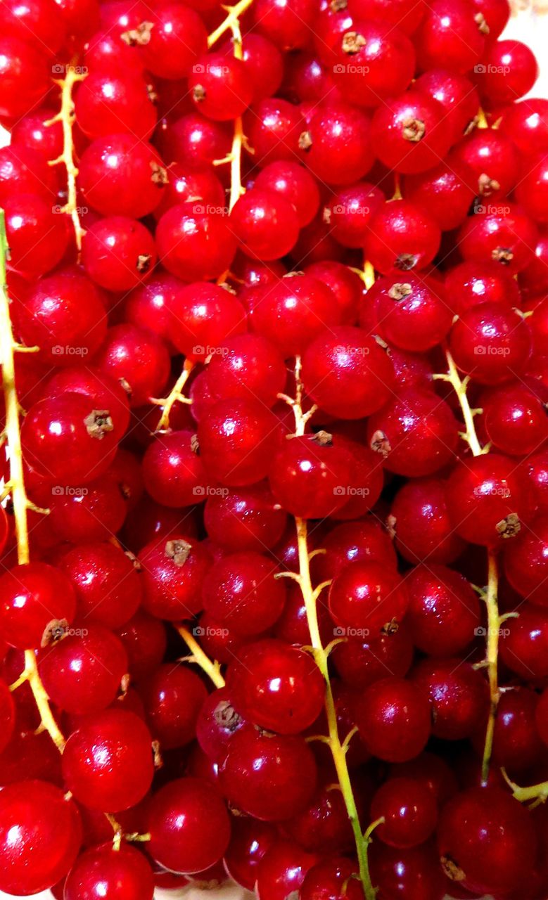 yummy red currant