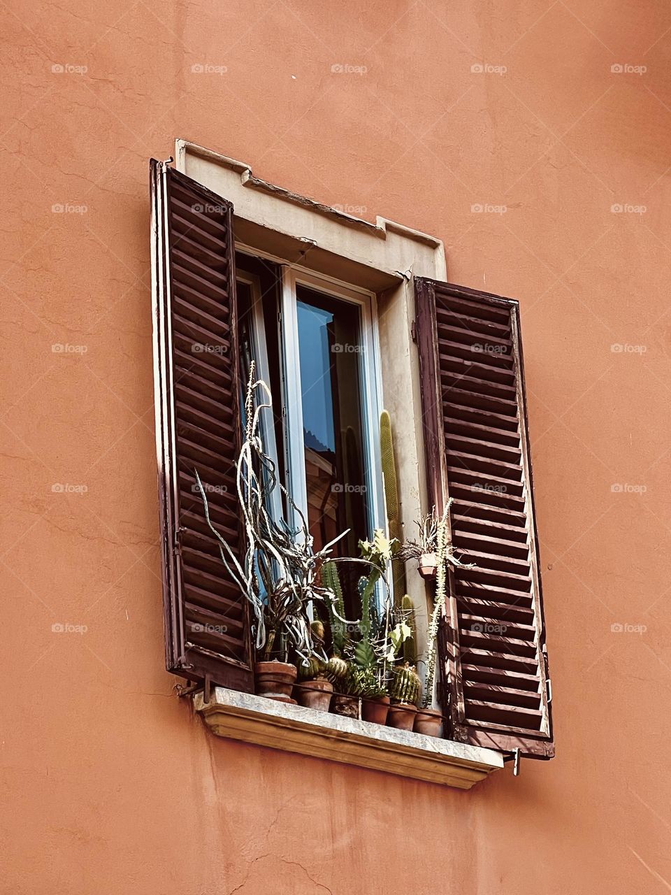 Window 