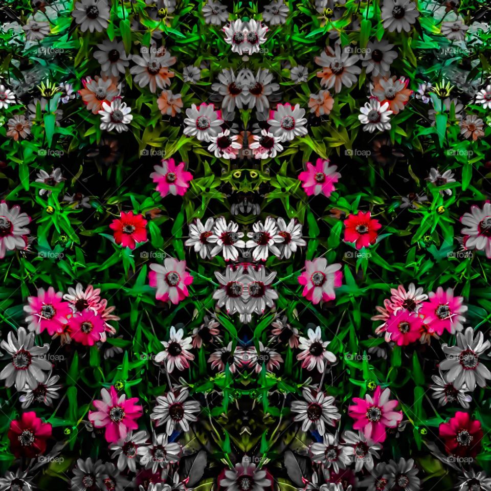 floral