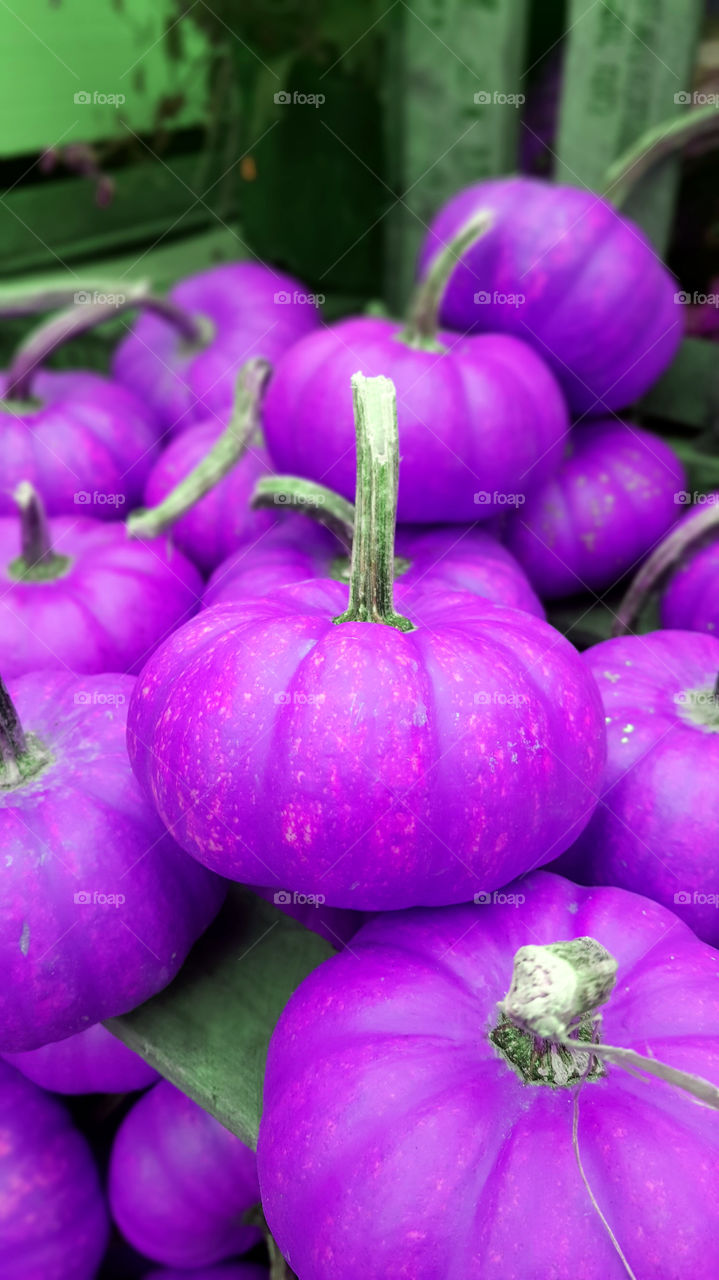 Purple pumpkins