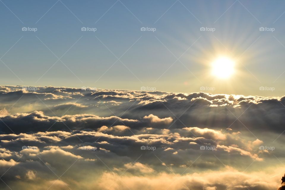 Clouds on the mountain 