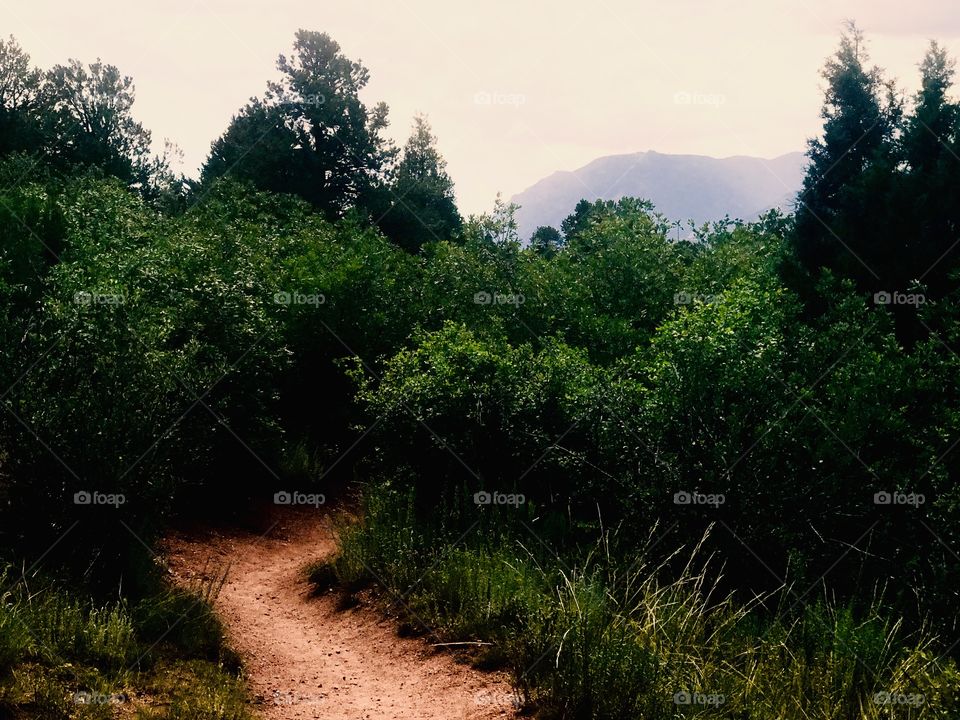 Hiking trail at garden of the gods in Colorado Springs, Colorado on a summer afternoon. The afternoon storm clouds were starting to roll in. Beautiful place for a hike