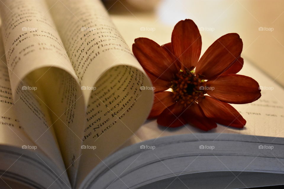Book and a flower