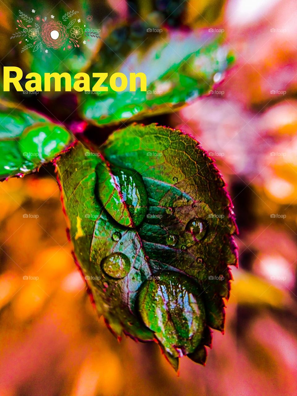 ✨🌙Ramazon🌙✨