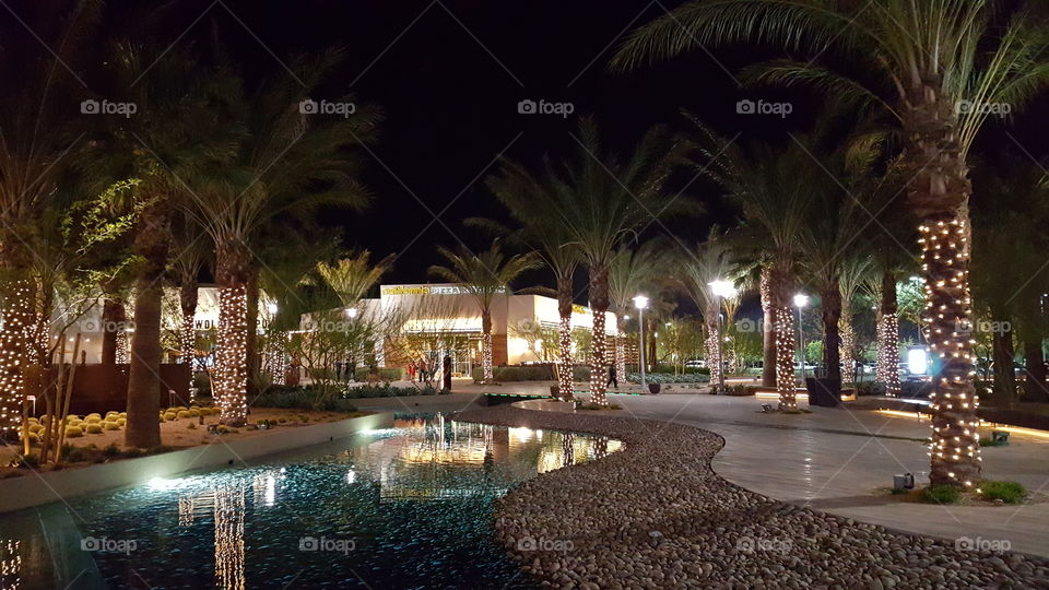Palm trees at night in the light