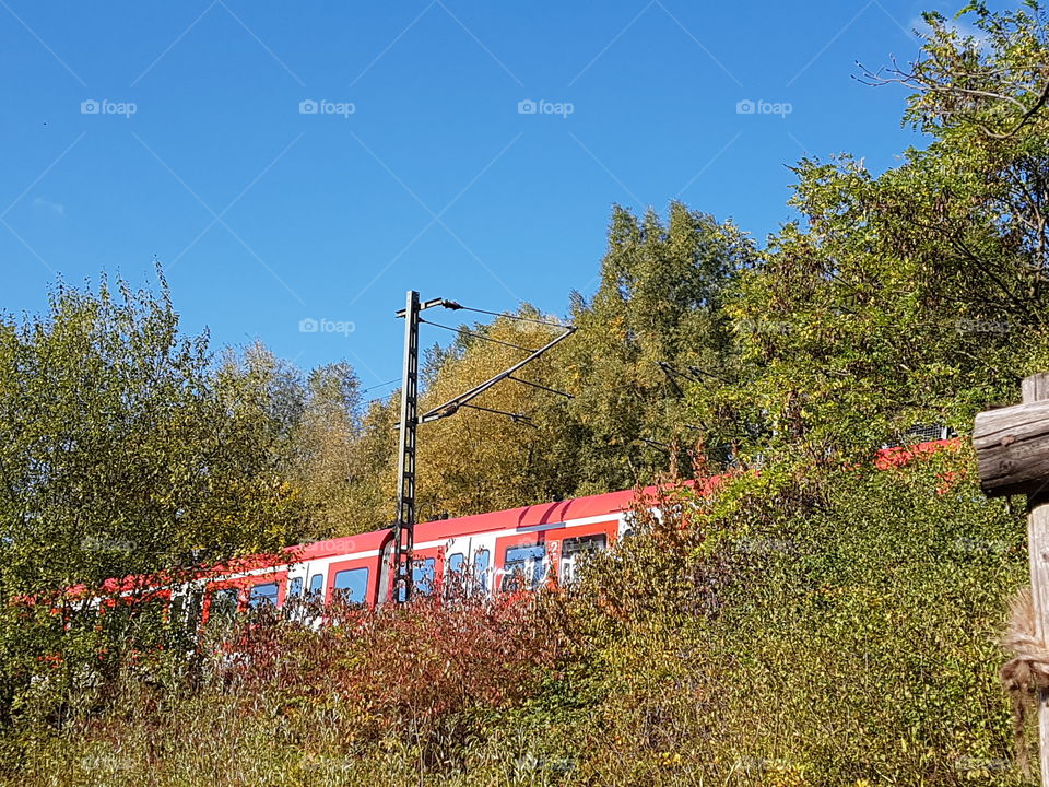 S-Bahn durch Landschaft