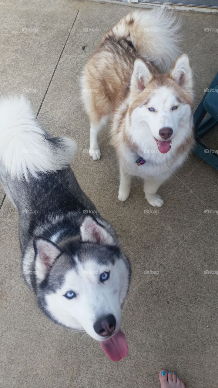 Alaska and Skyla are always smiling