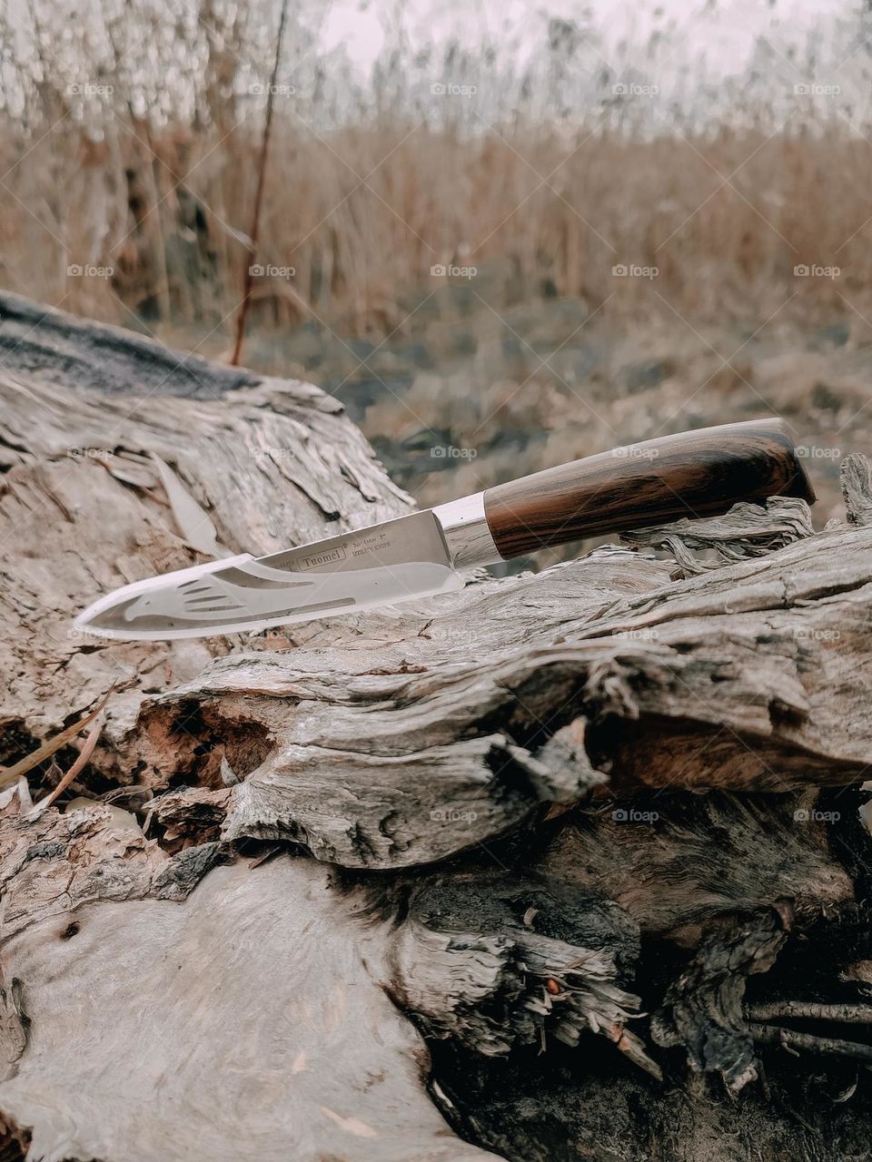 Wooden handle knife on the wooden log in the reeds near the river. Knife close up. Hunting, foraging tool. Beautiful wooden texture. Outdoors activities, outdoors hobby. Beautiful nature still life