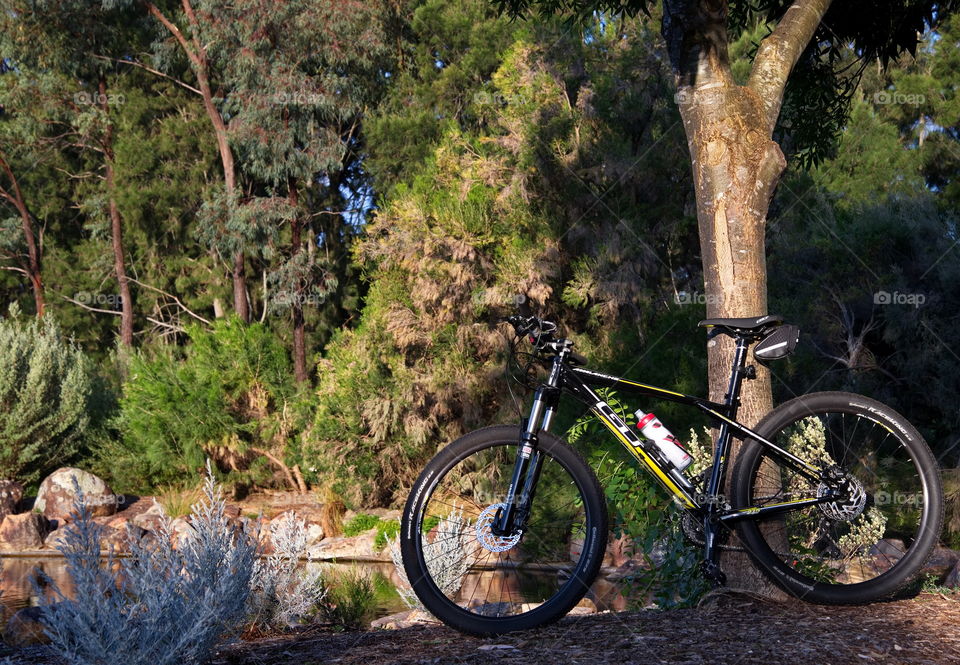 Riding my mountain bike in a wetlands in Australia
