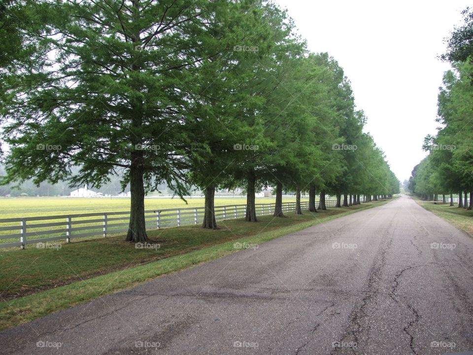 One-Way Road: Entrance to Angola State Prison in Louisiana