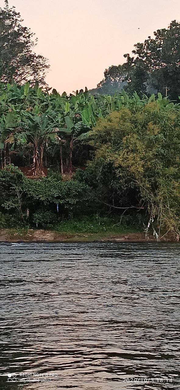 manimala river