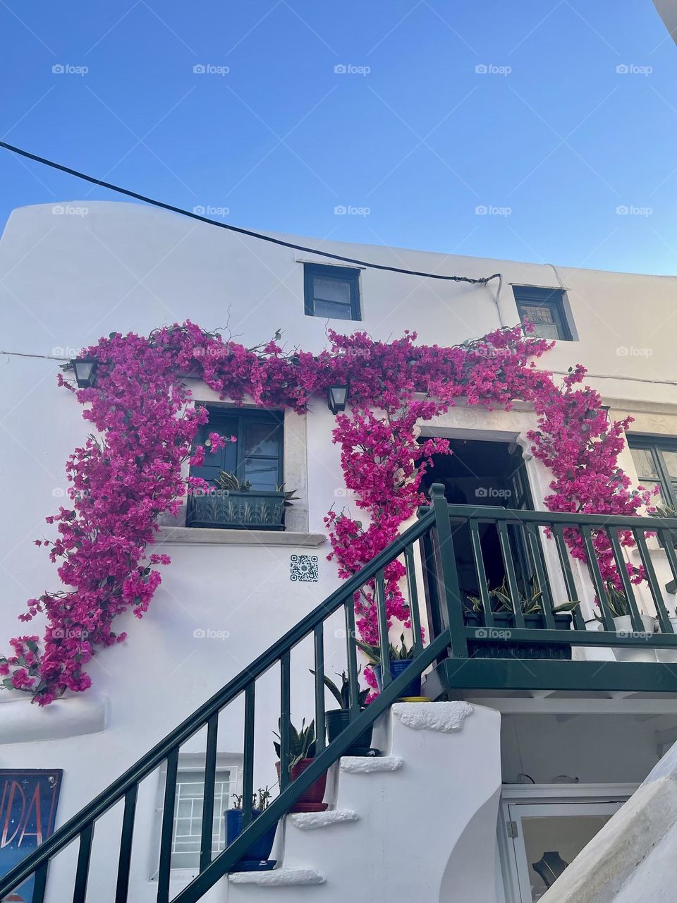 Pink flowers 