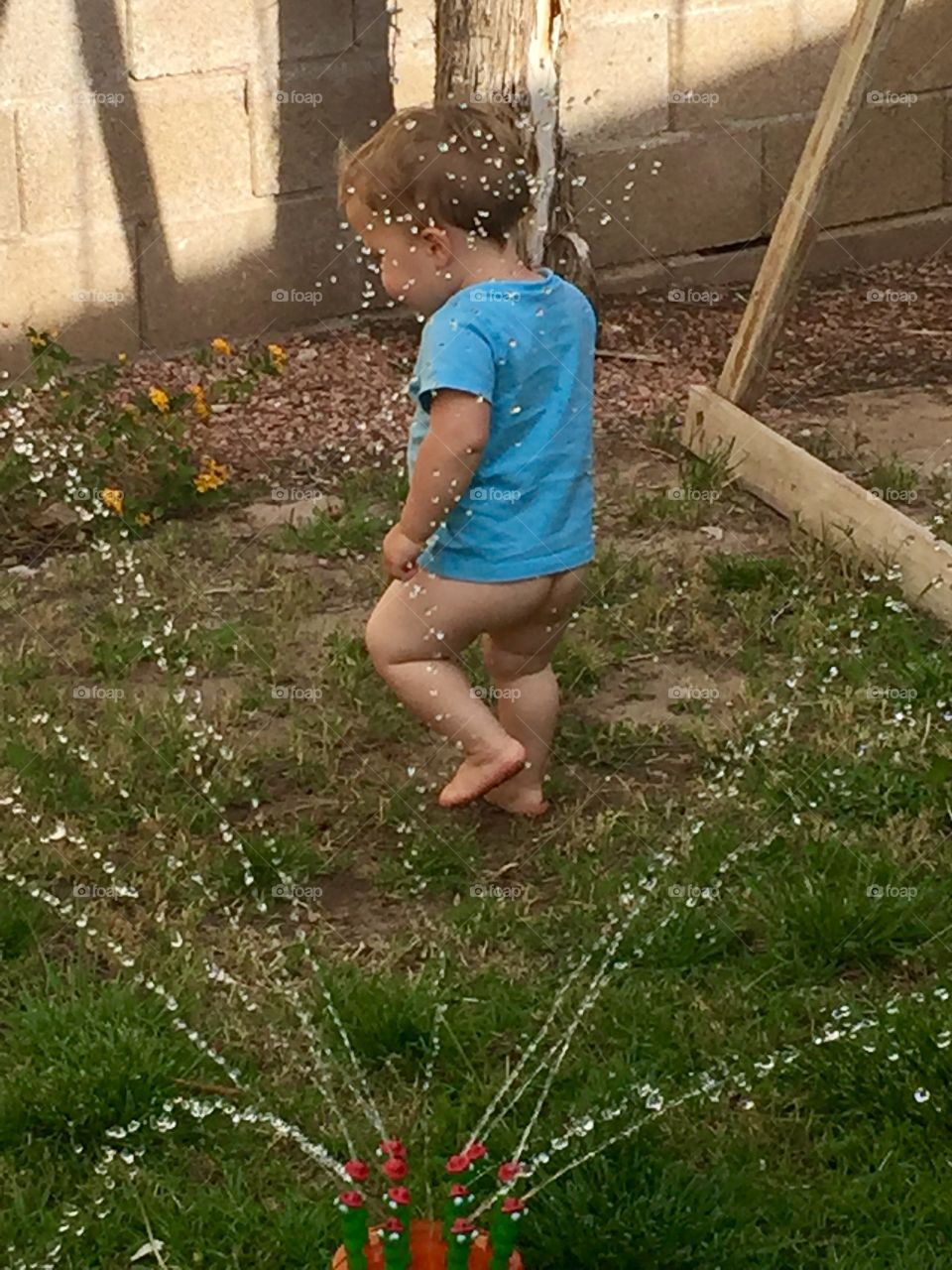 Sprinkler Fun