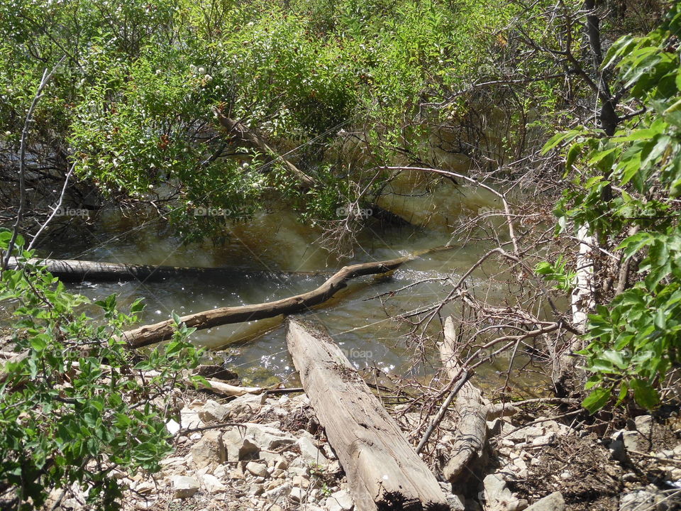Creek Rd. This is a picture of a creek that flows to the Runaway Bay Lake located in Bridgeport Texas