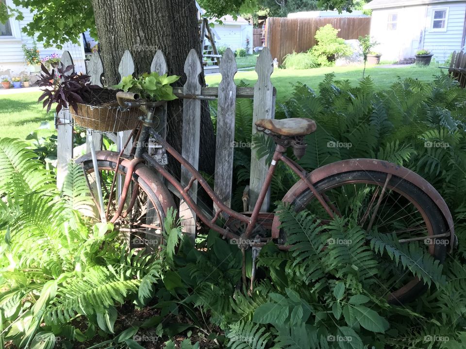 Yard decorations 