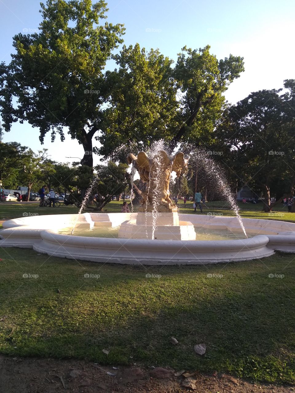 Fountain of water