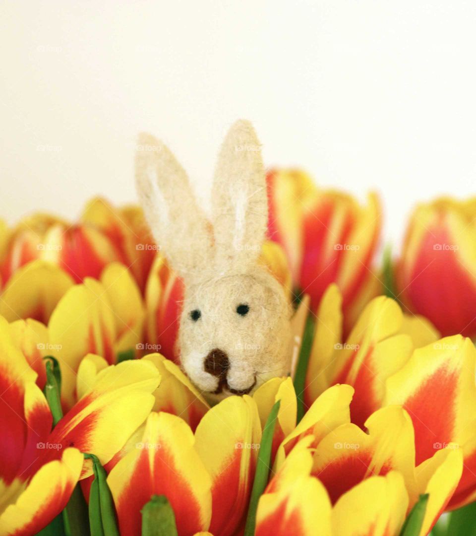 easter bunny between tulips