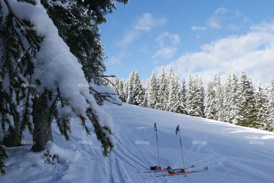 Skiing in winter wonderland 