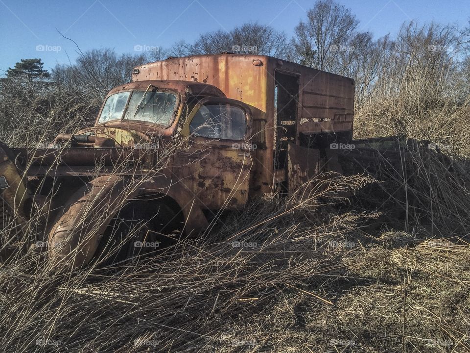 Abandoned, No Person, Landscape, Farm, Agriculture