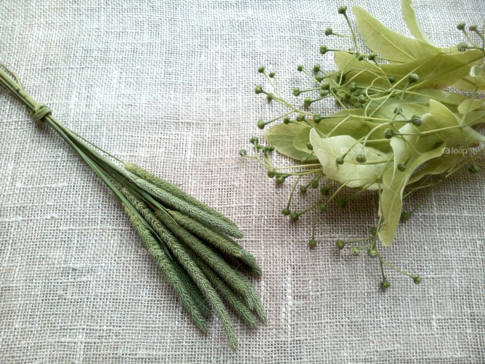 Flora, Food, Leaf, Desktop, Nature