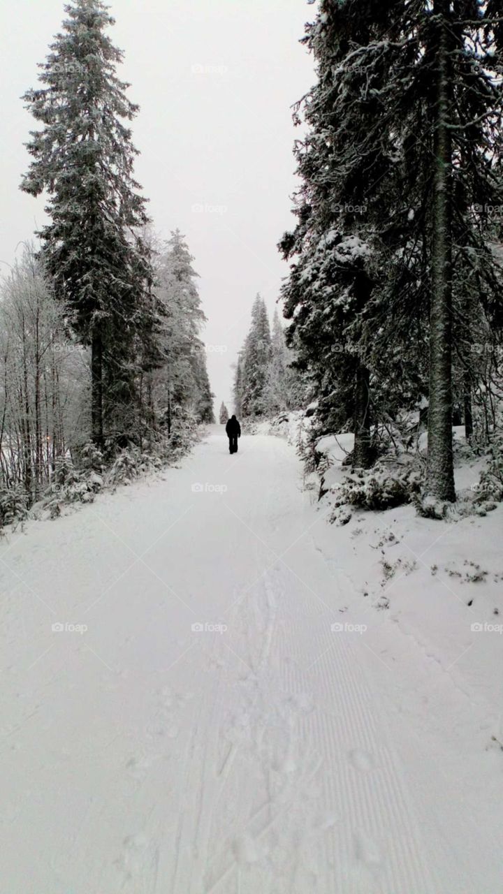 Snow Walk Levi Finland
