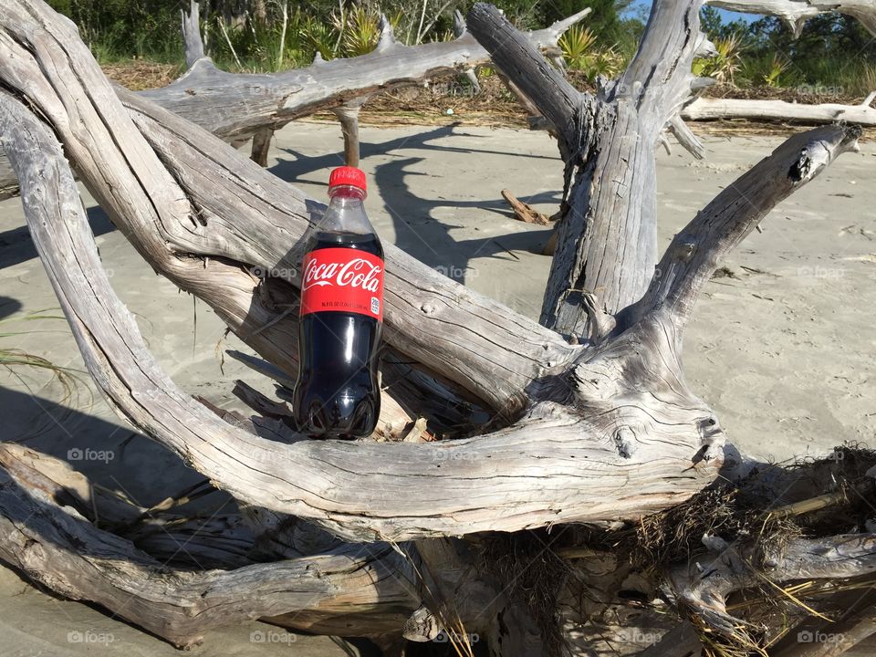 Coca-Cola on driftwood