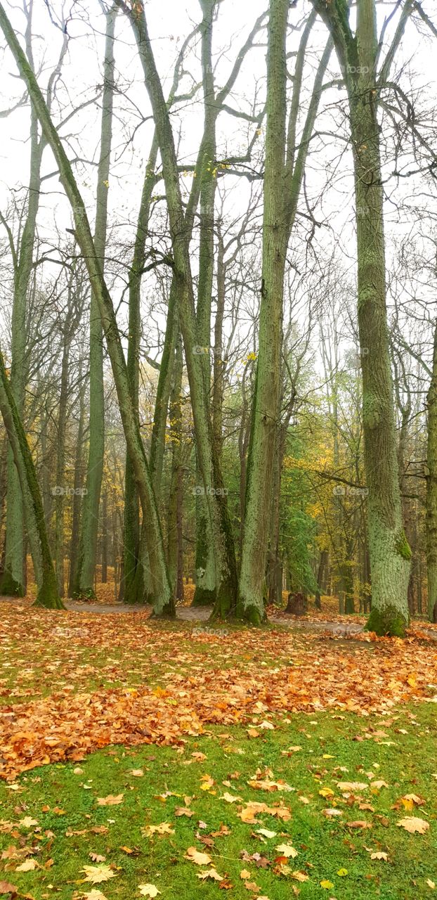 travel to Raudone, Lithuania